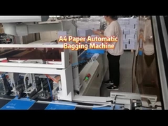 50HZ / 60HZ Automatic Bagging Machine 15kw Bag Filling Machine Lucky Bags