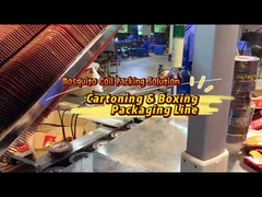 Intelligent Box Packing Shinking Case Sealing Machine Line For Moisequit Coils