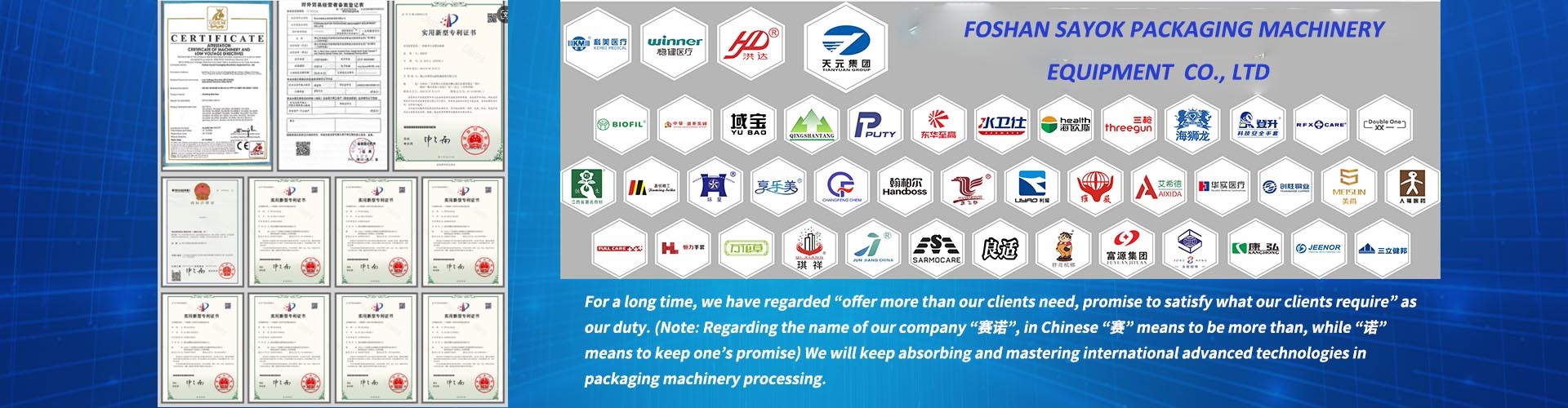 Quality Automatic Packing Machinery factory