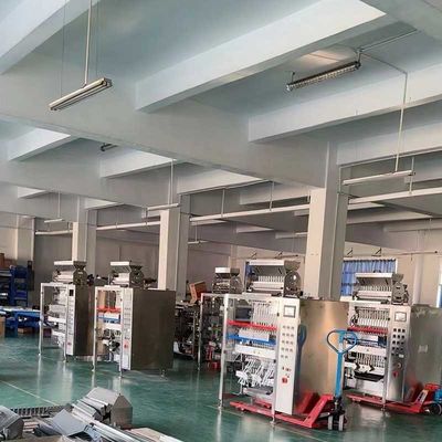 Multi-Lane Packaging Automatic Packing Machinery Automation And Integration