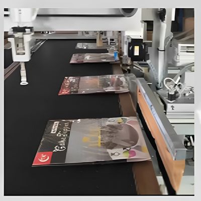 Automatic PE Premade Pouch Back Sealing Machine With Optional Labeling Feature